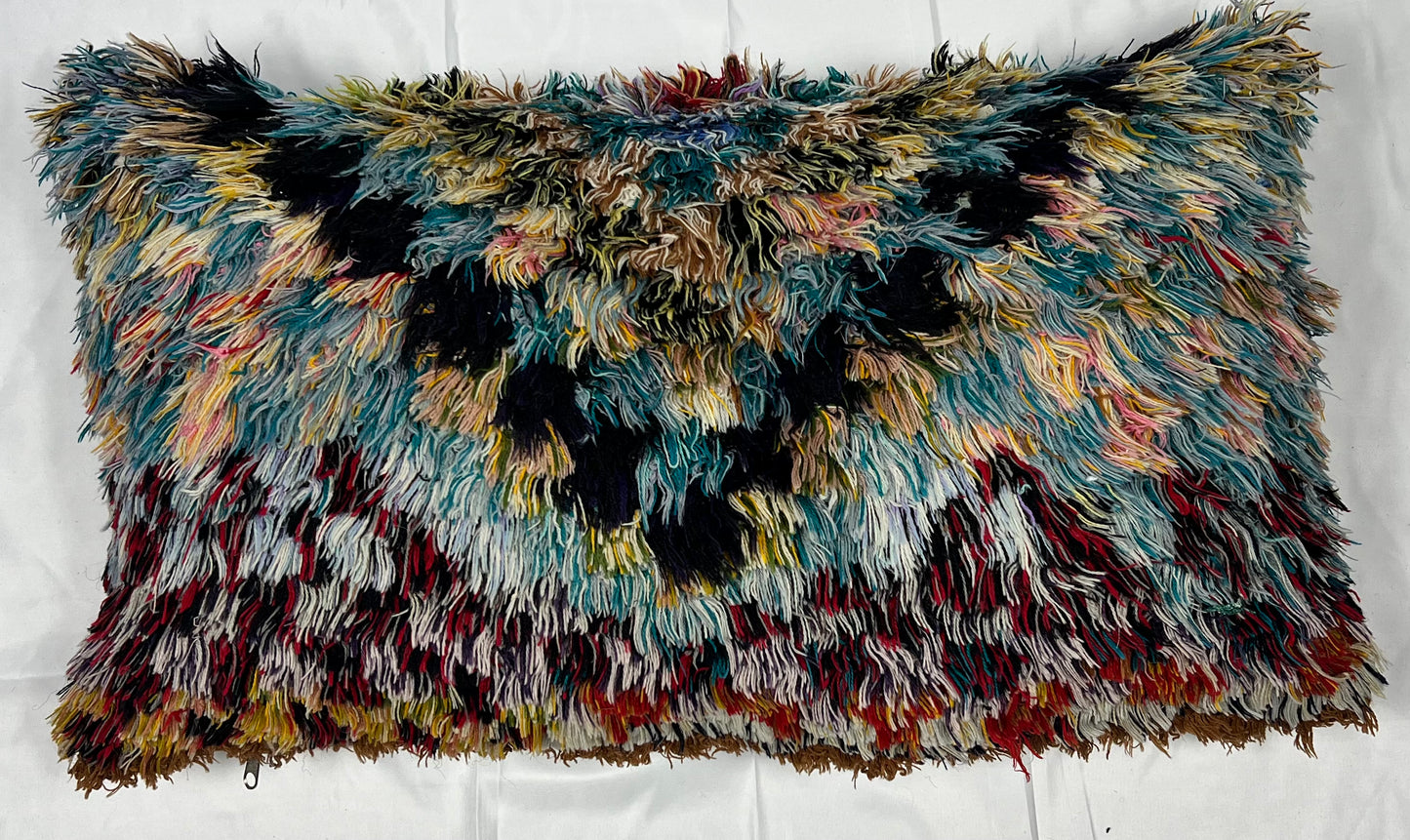 Rainbow Atlas Shag Pillow